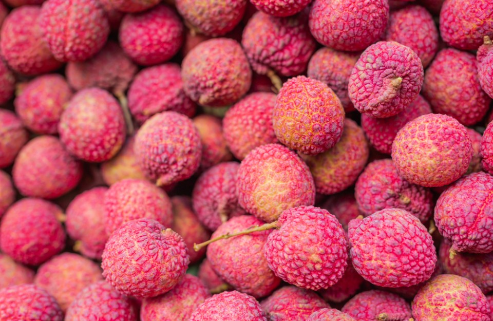 Current Litchi Prices Today