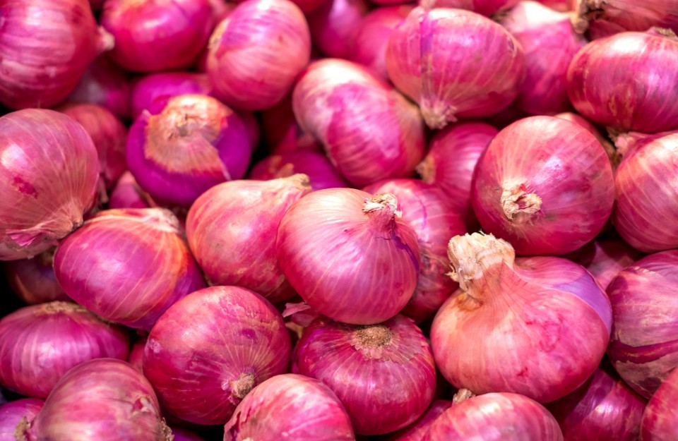 Current Onion Price Today