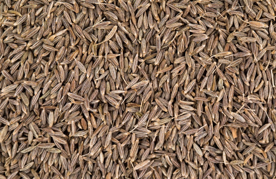 Gujarat Cumin Seed (Jeera) Prices Today