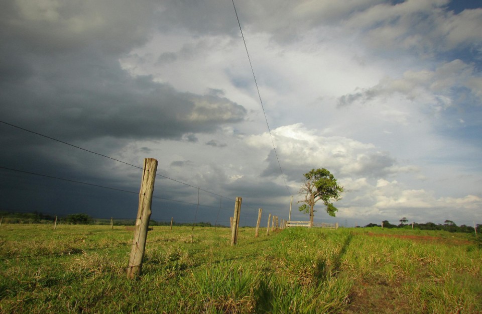 Rain Alert for Madhya Pradesh and Chhattisgarh