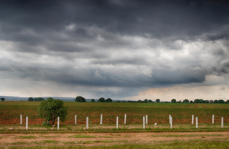 Monsoon to Advance to Maharashtra, Odisha