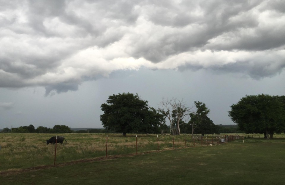 Meteorological Department Issues Rain Alert for Delhi