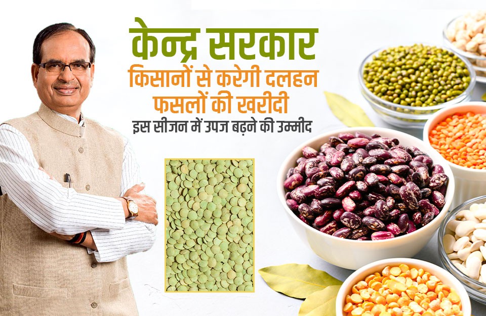 दलहन के उत्पादन को बढ़ाने के प्रयास