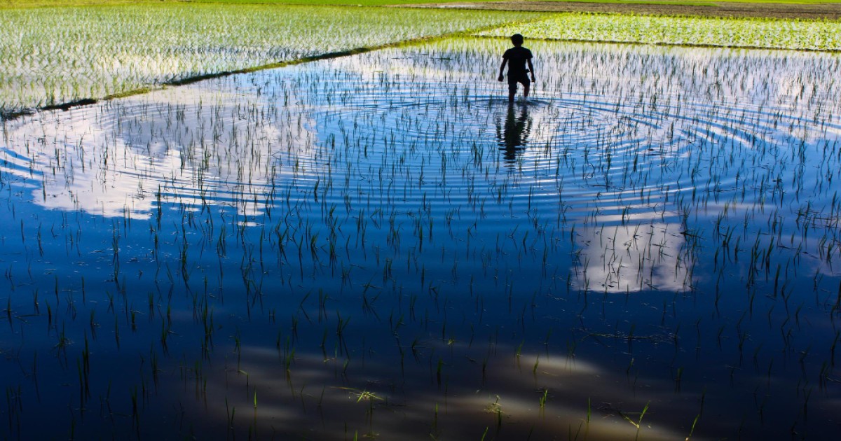 Heavy Rainfall in Kanpur and Varanasi