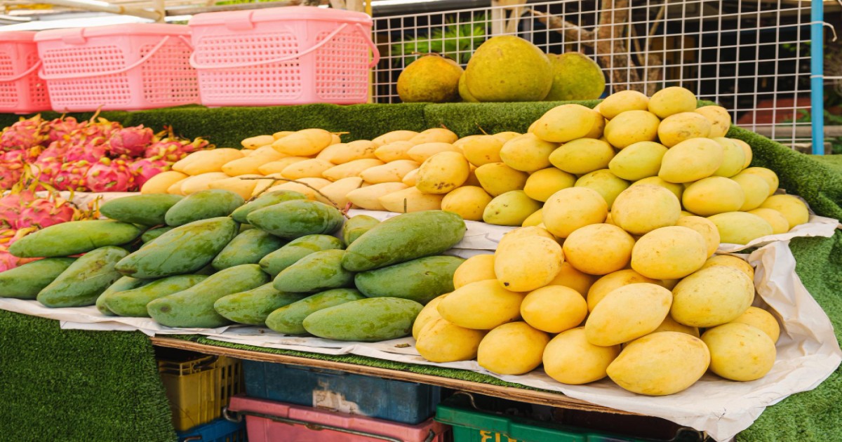 Mango Price Today
