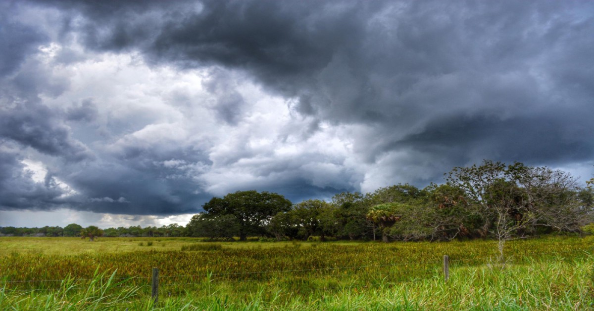 Rainfall Situation in Northwest and Central India