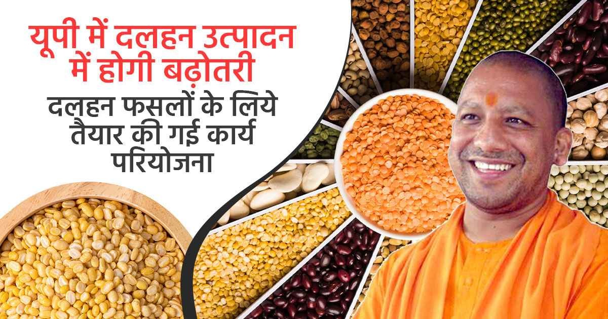 यूपी में दलहन उत्पादन में होगी बढ़ोतरी