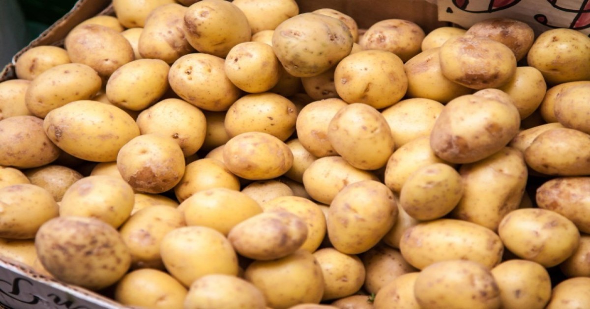 potato market price today
