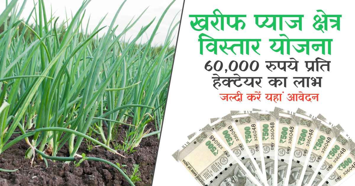 खरीफ प्याज योजना का उद्देश्य