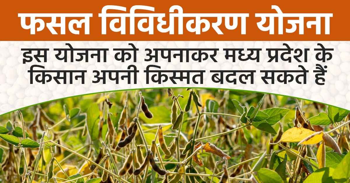 Crop Diversification Scheme