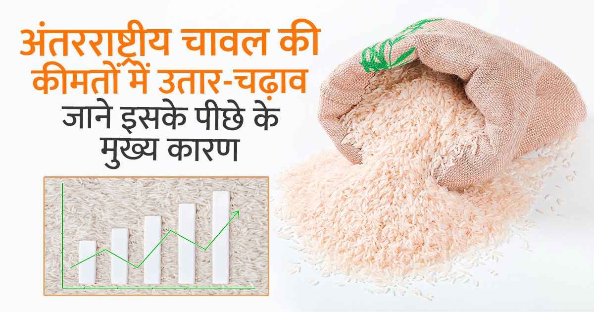 Fluctuations in international rice prices | KhetiVyapar