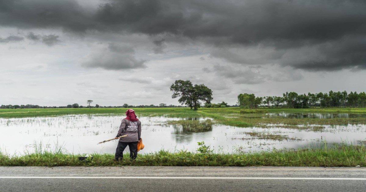 Weather conditions worsened in Madhya Pradesh