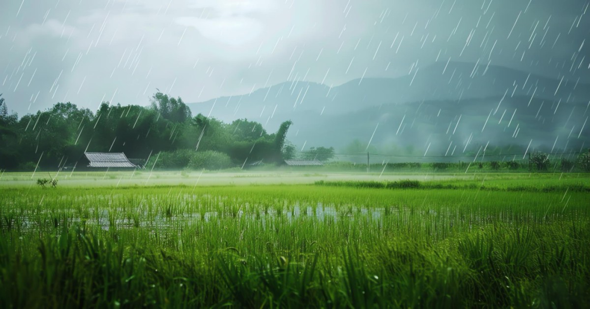 Chance of rain in Bihar