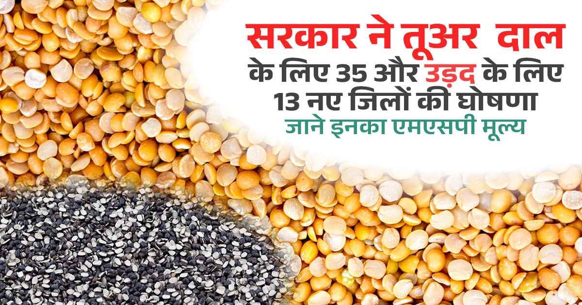 तुअर और उड़द के लिए नए जिलों की घोषणा