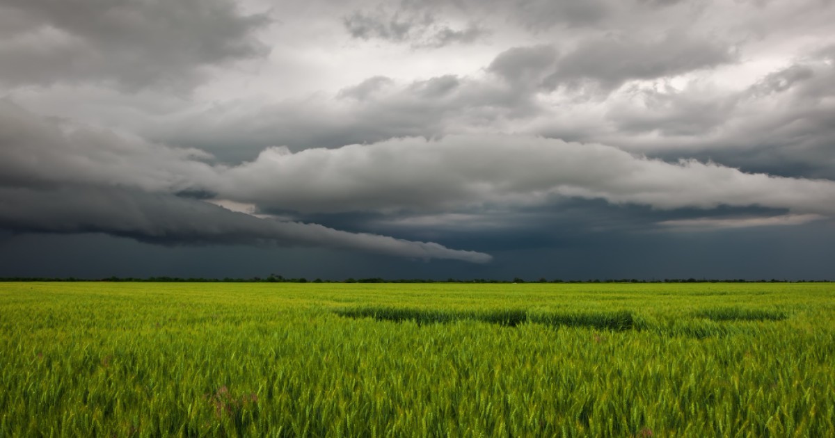 Rainy Season in Madhya Pradesh