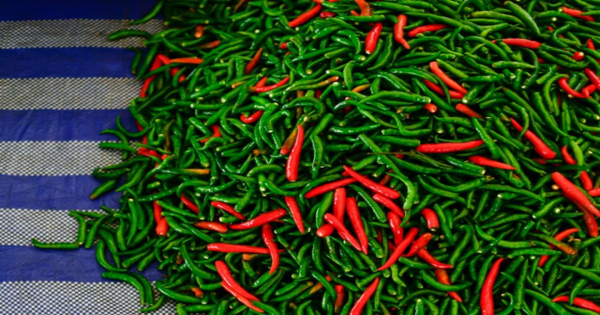 Green Chili Market Price in Rajasthan