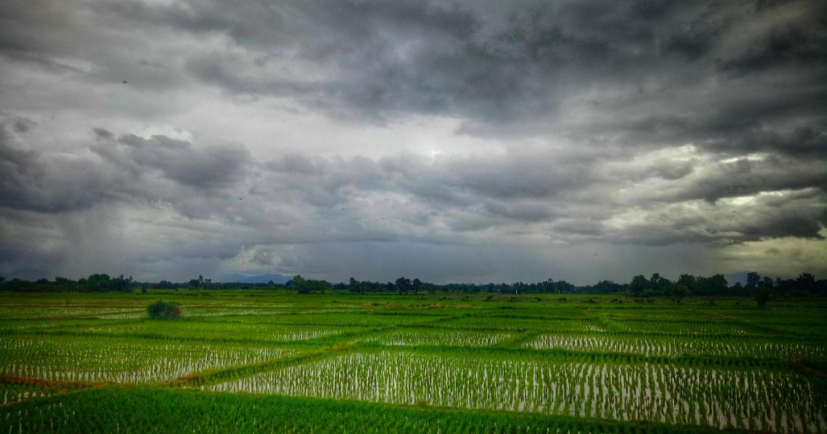 Heavy Rain in Madhya Pradesh