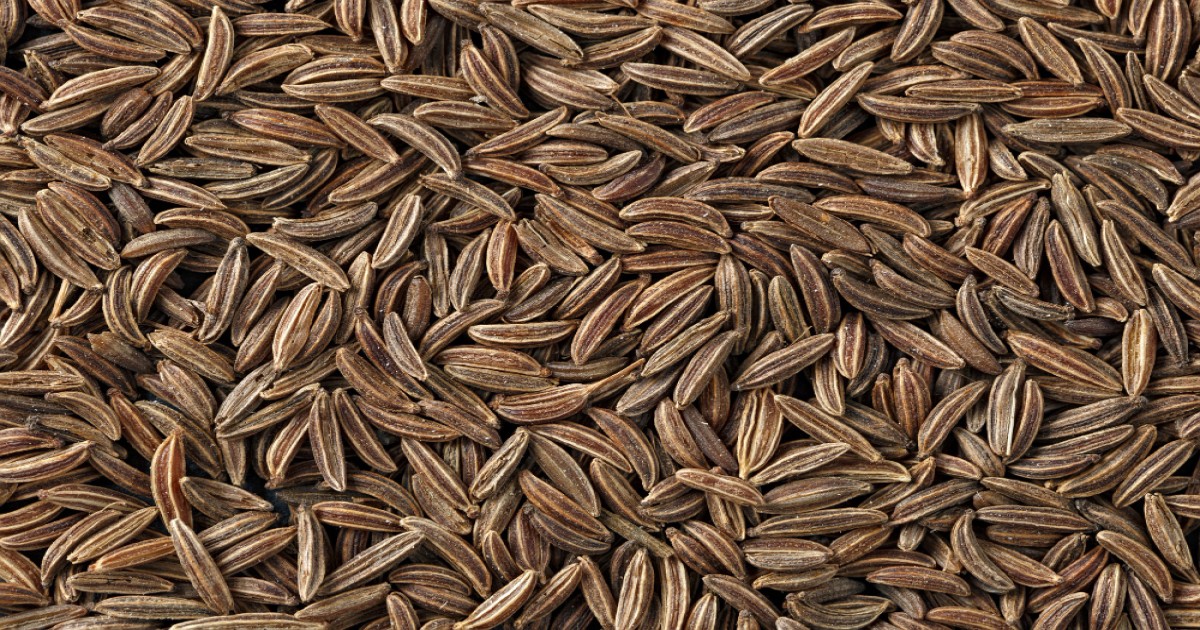 Cumin Seed Market Price Today