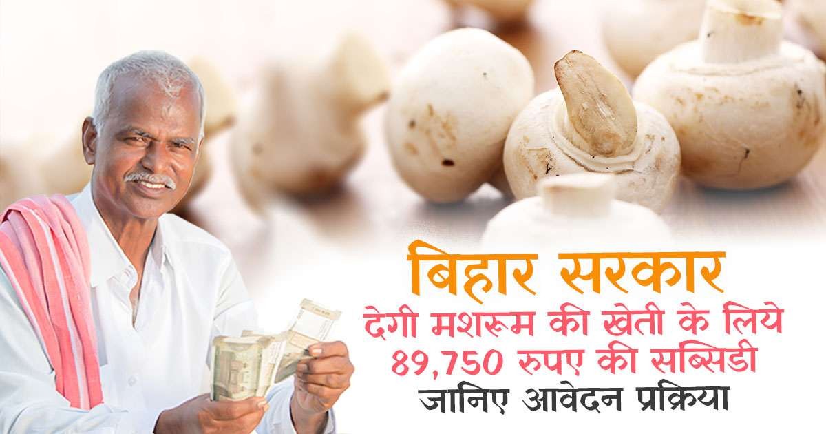 बिहार में मशरूम खेती को बढ़ावा देने के लिए नई योजना