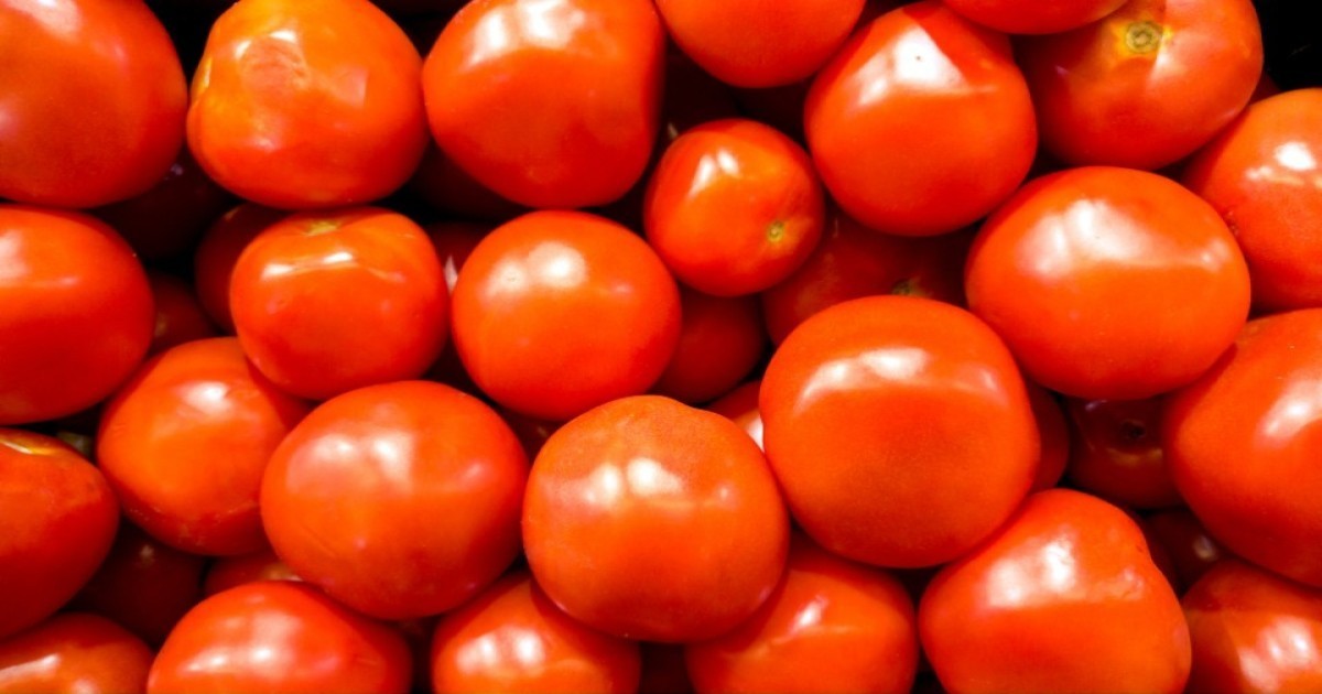 Tomato Price in Uttar Pradesh