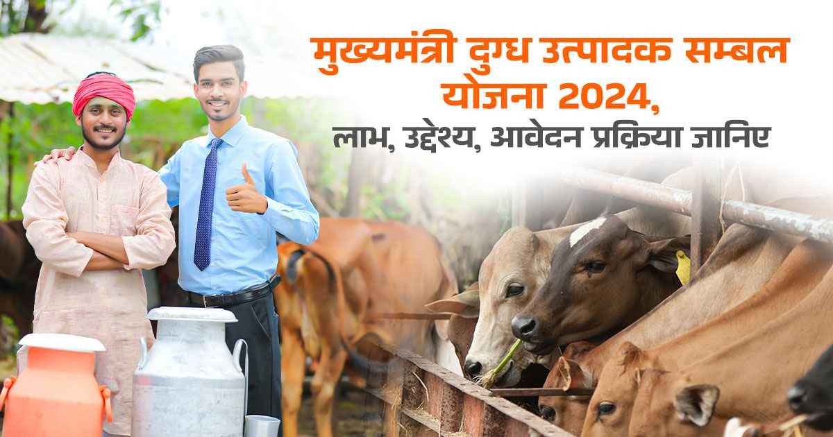 Dairy Producer Assistance Scheme