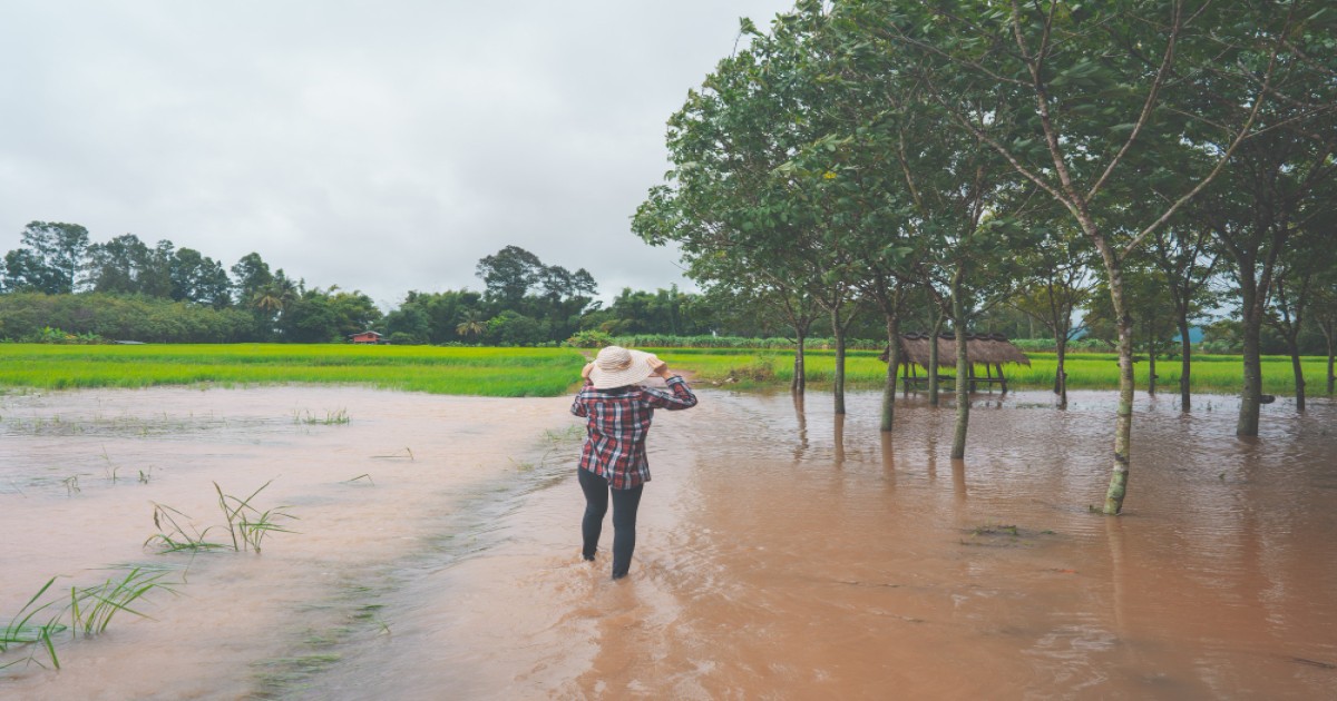 Heavy rainfall expected in Bihar