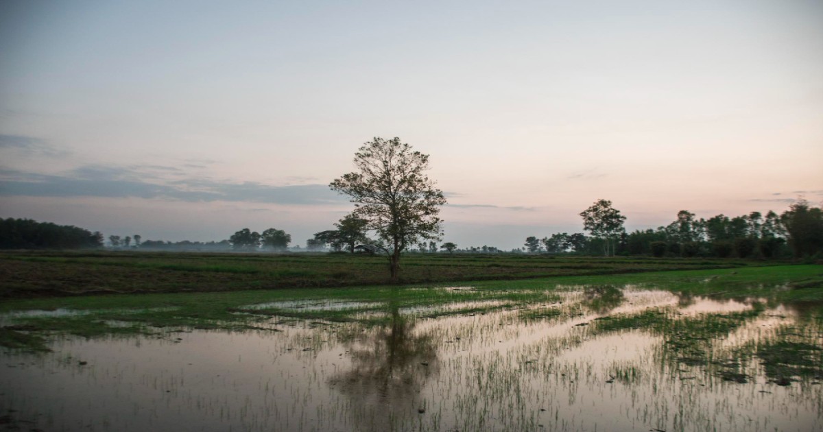 Rainfall alert in Uttar Pradesh