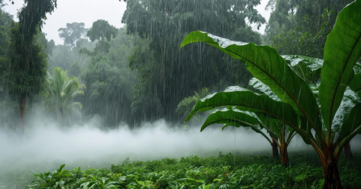 Heavy rainfall warning for eastern Madhya Pradesh