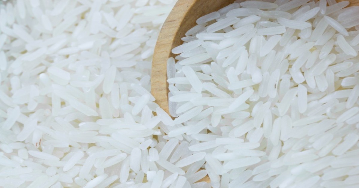 चावल का मंडी भाव आज का चावल का मंडी भाव आज का