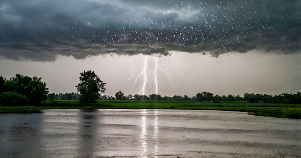 States with Highest Rainfall