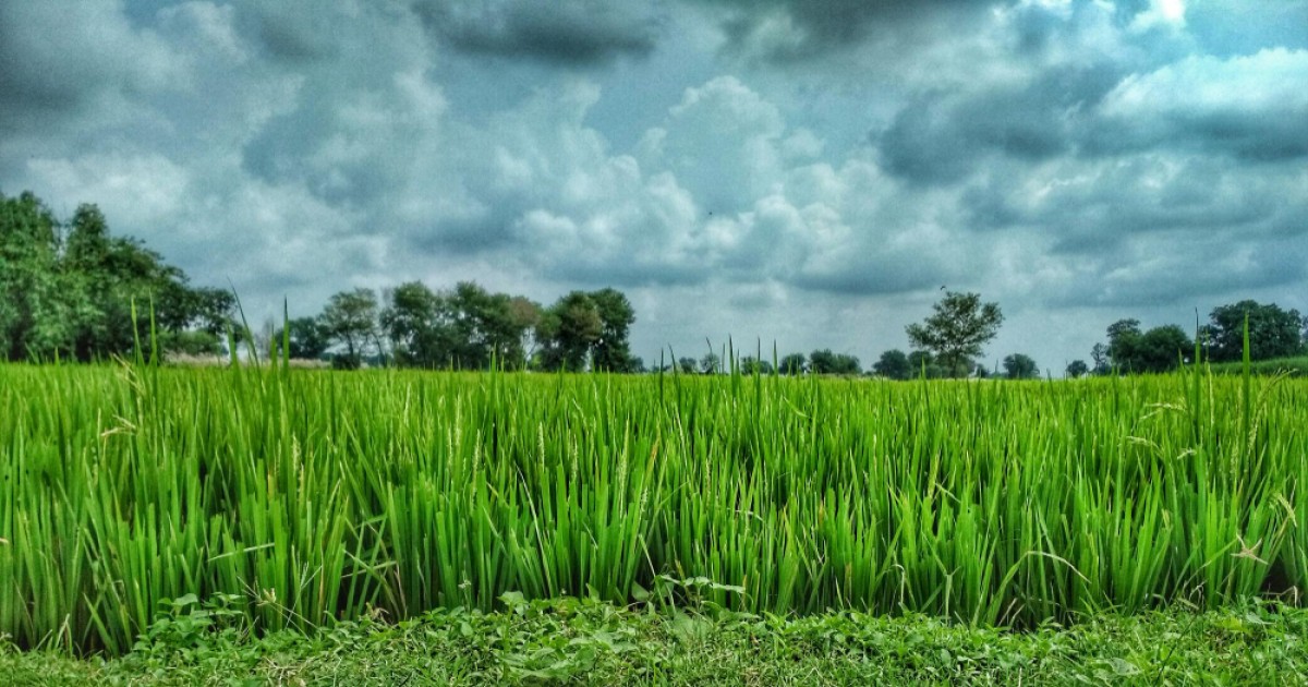 बिहार में मौसम का मिजाज बदला