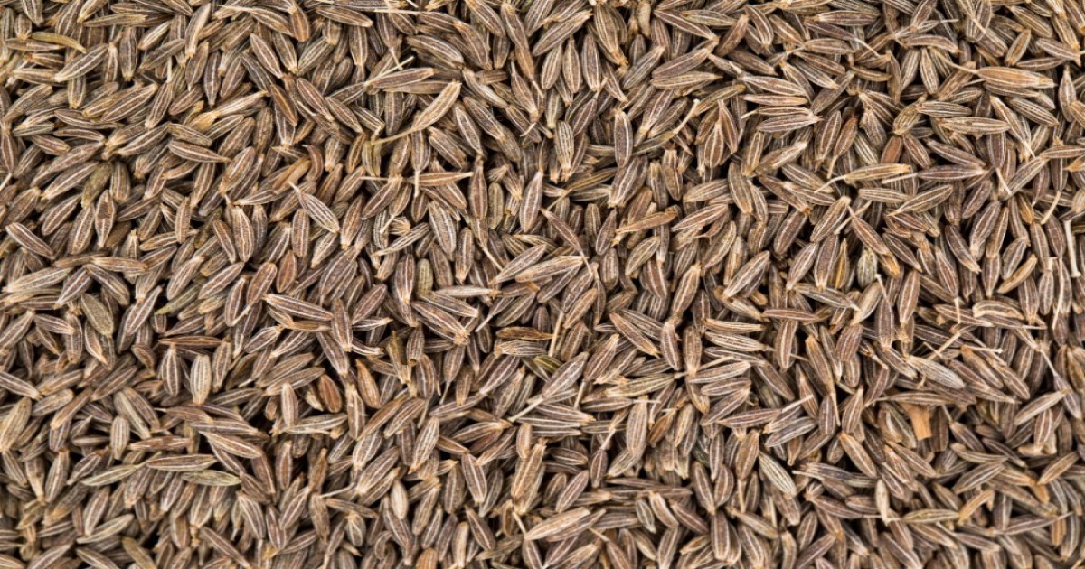 Cumin market price