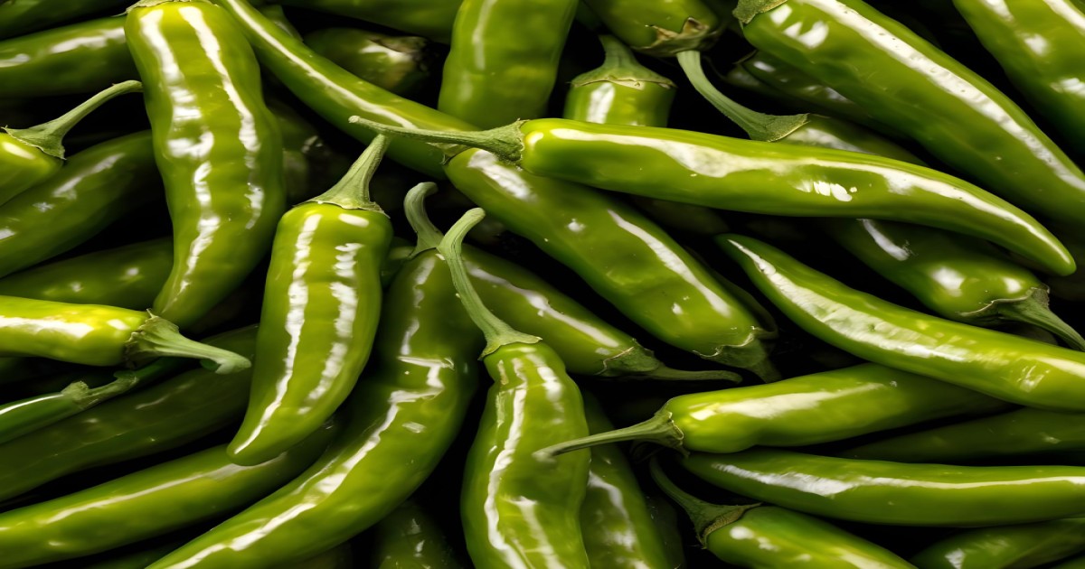 Green Chilli Price in Uttar Pradesh