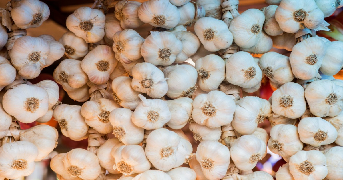 Garlic prices in Madhya Pradesh