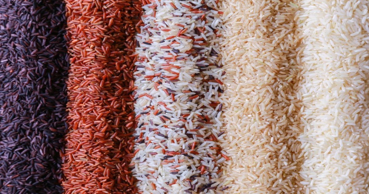 Rice market price
