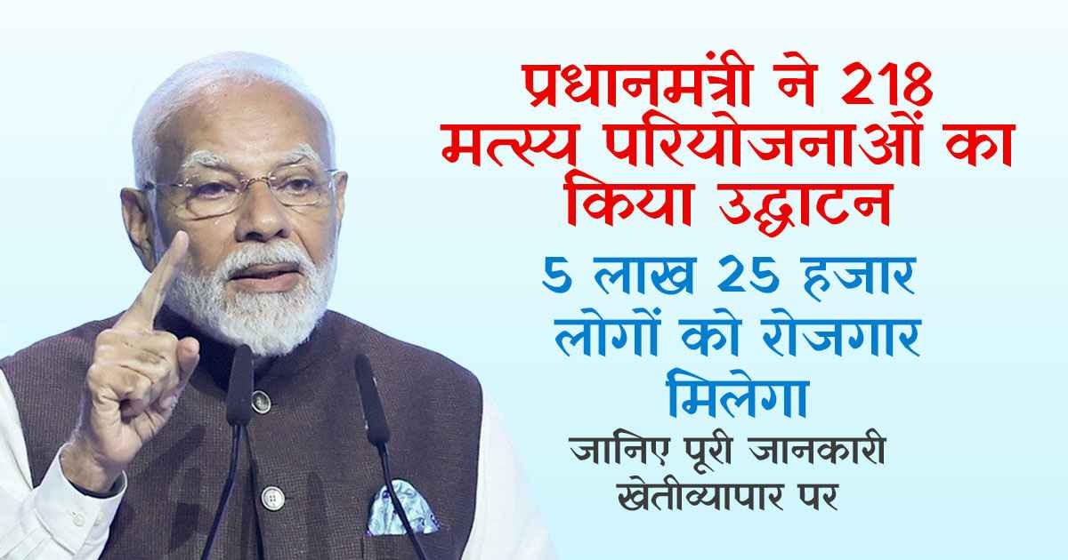 मछली उत्पादन