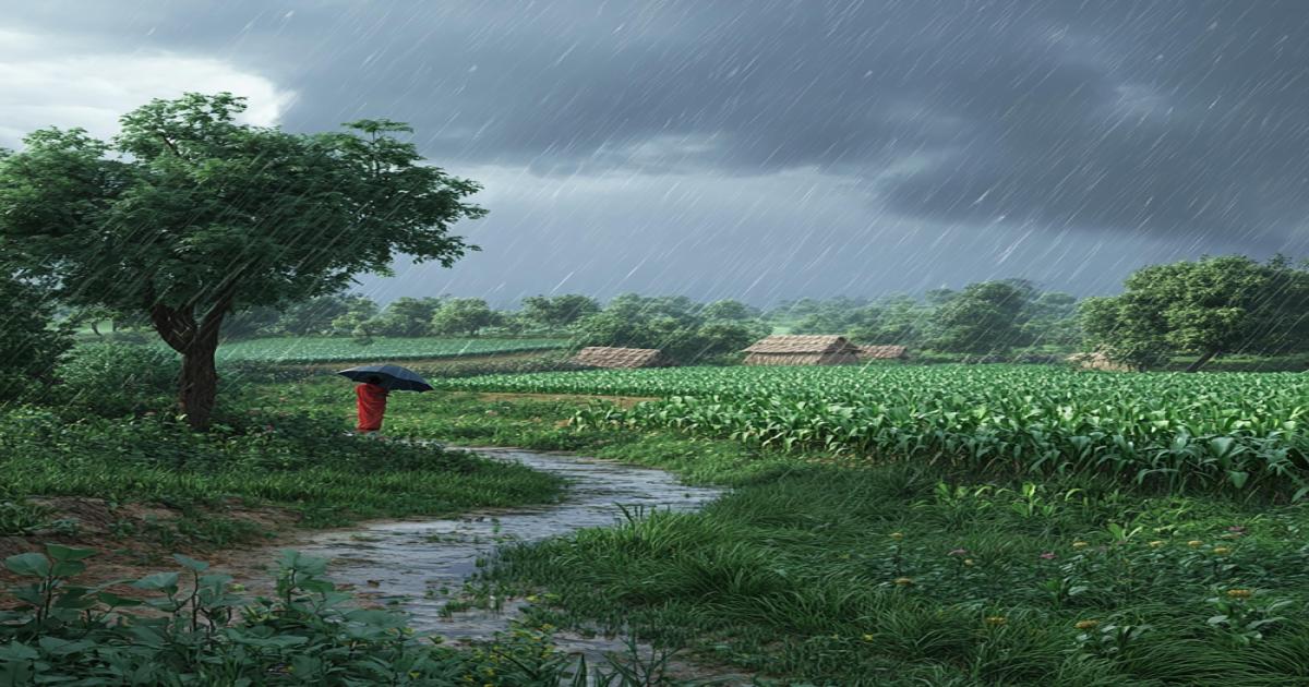 Heavy Rainfall Forecast for Other States