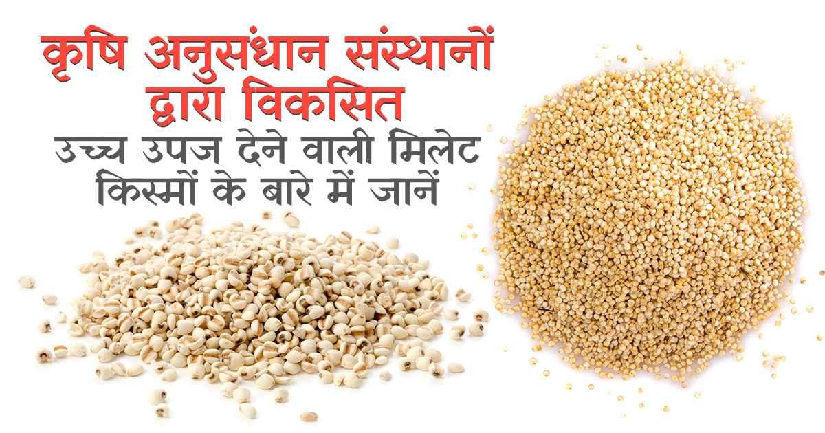 सूखा प्रतिरोधी मिलेट्स, जलवायु परिवर्तन का समाधान