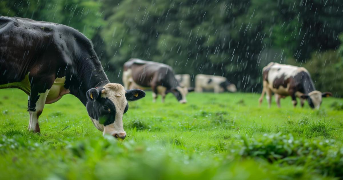 Delhi Weather Update