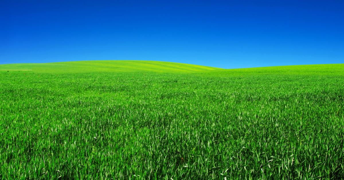 मध्यप्रदेश में किसानों के लिए राहत की खबर