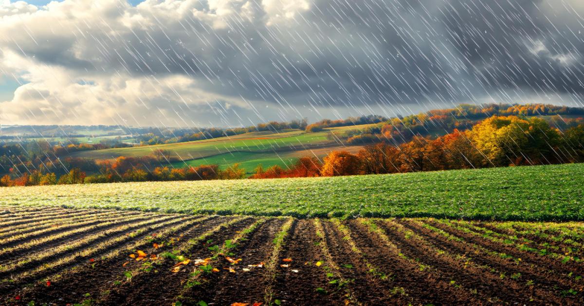 Rain Forecast in Bihar