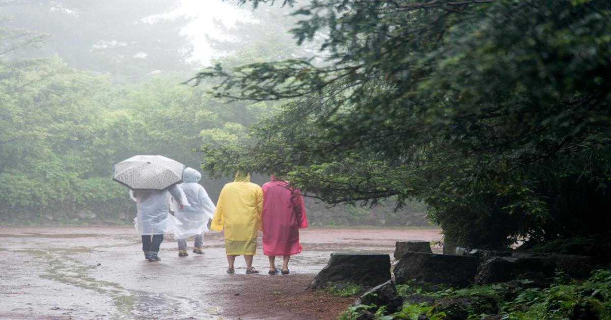 महाराष्ट्र और मध्य प्रदेश में मानसून का यू-टर्न