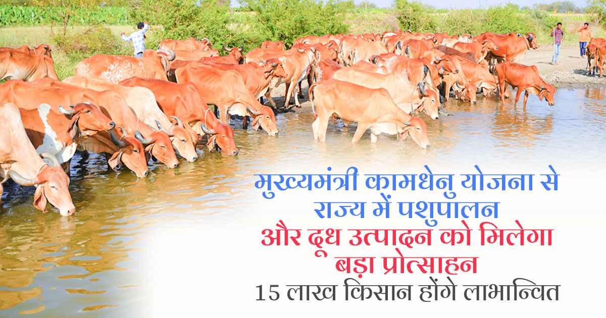 मुख्यमंत्री कामधेनु योजना