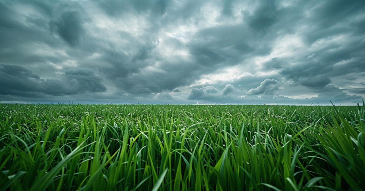 Weather took a U-turn in Madhya Pradesh