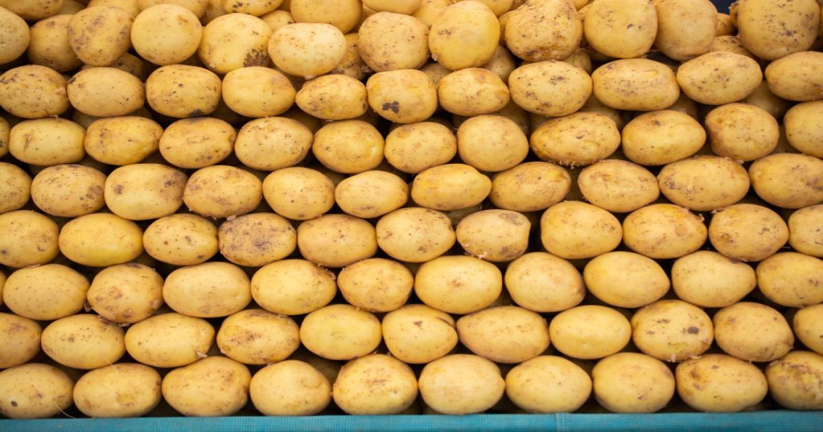 Potato market price