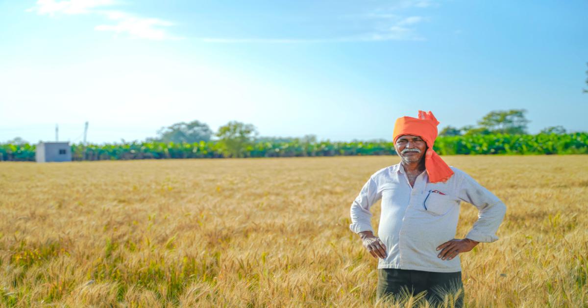 गेहूं, मसूर, चना के दामों में उछाल