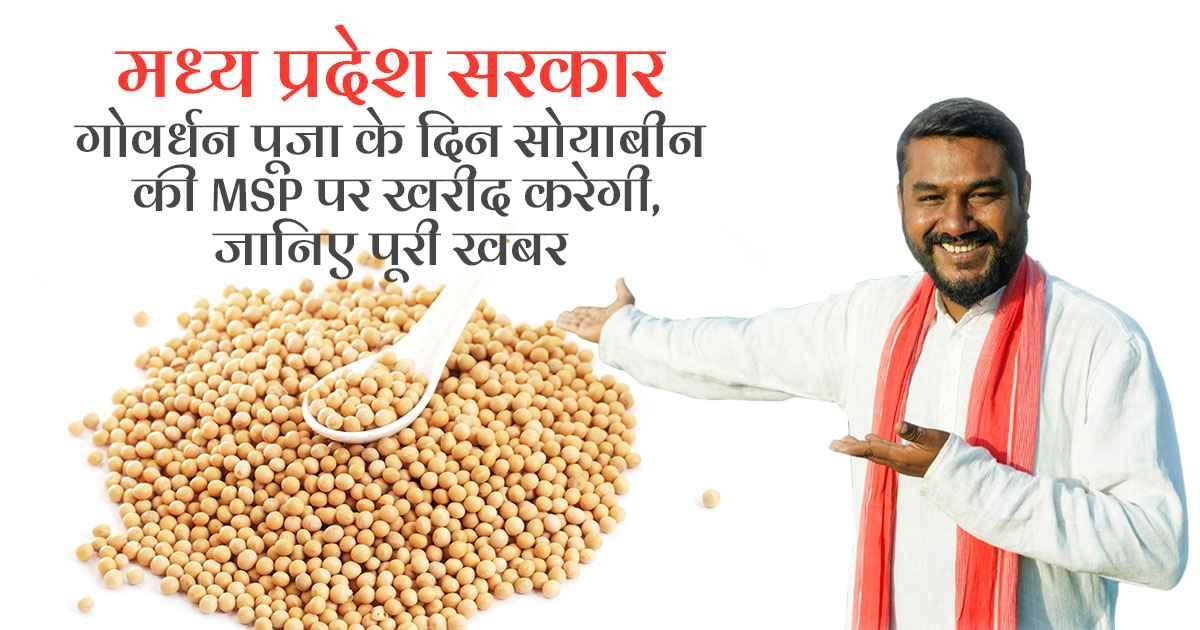 Soybean Procurement Festival