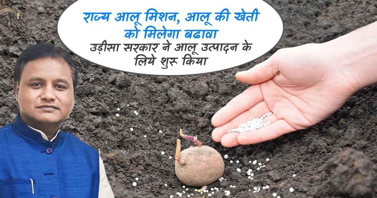 ओडिशा आलू मिशन
