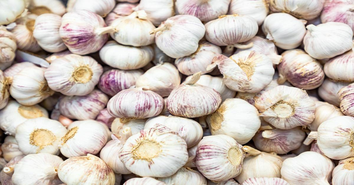 हरियाणा की विभिन्न् मंडियों में लहसुन के भाव