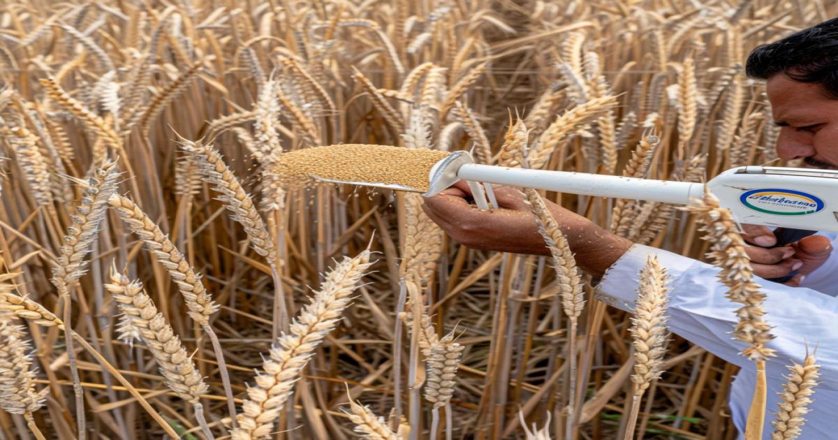 Horticulture Farming Yielding Greater Profits for Farmers